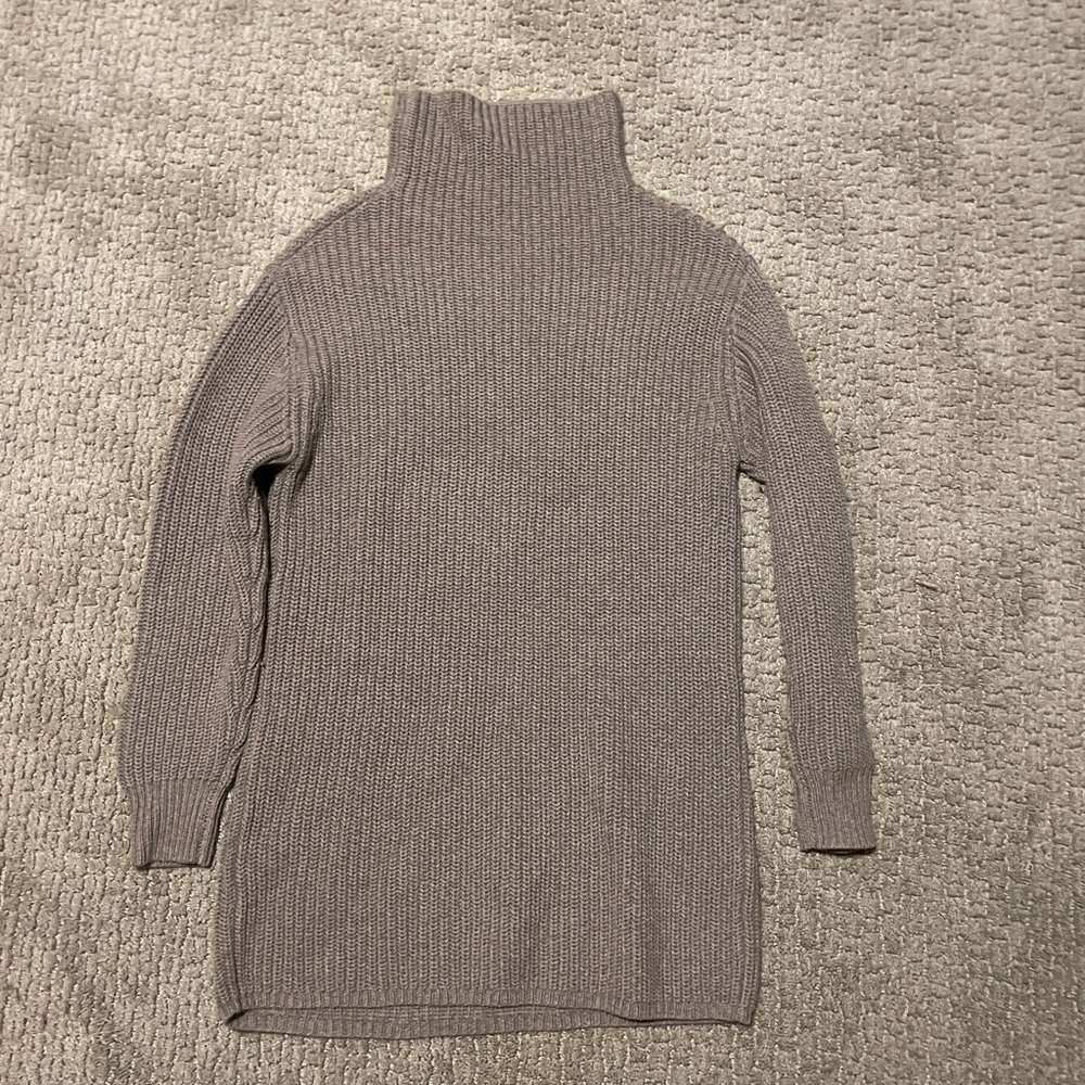 Aritzia turtle neck dress